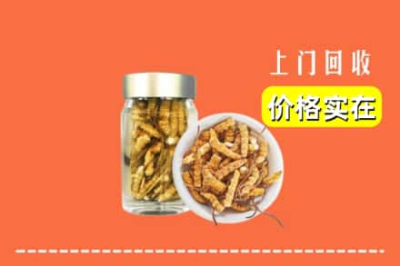 收购资讯:泰安市肥城回收散虫草